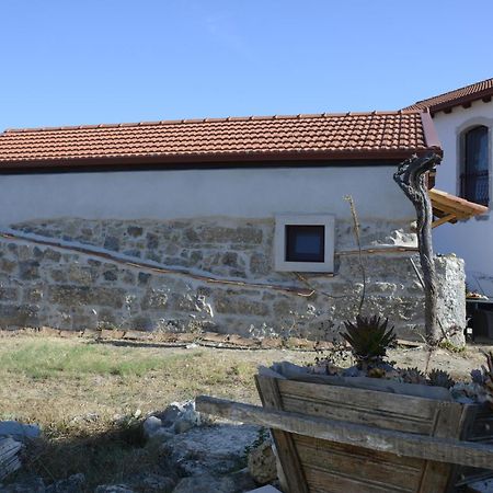 Casa Da Lima - Nestled In Nature On Santiago'S And Fatima'S Path, Close To Coimbra And Rabacal Alvorge المظهر الخارجي الصورة