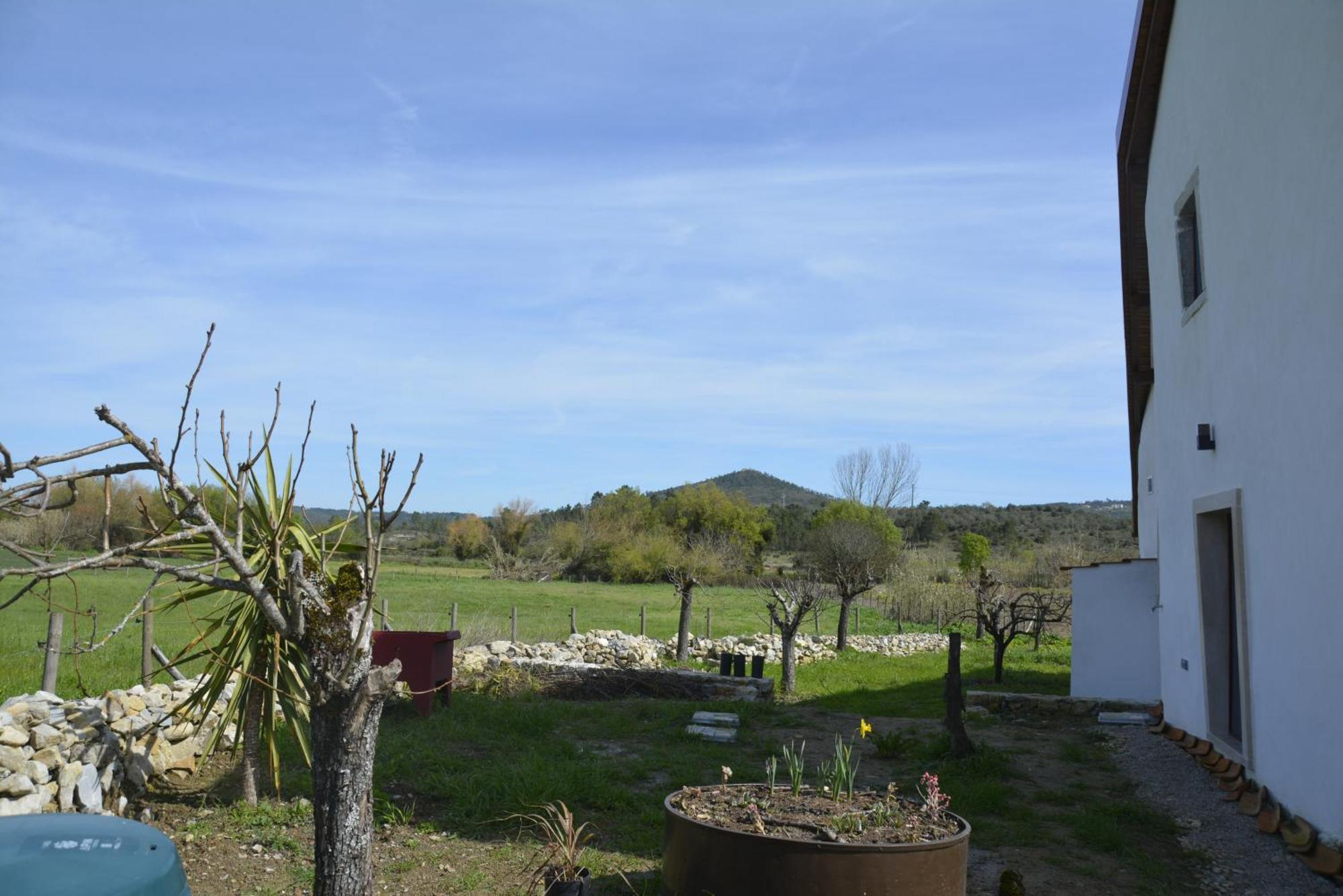 Casa Da Lima - Nestled In Nature On Santiago'S And Fatima'S Path, Close To Coimbra And Rabacal Alvorge المظهر الخارجي الصورة