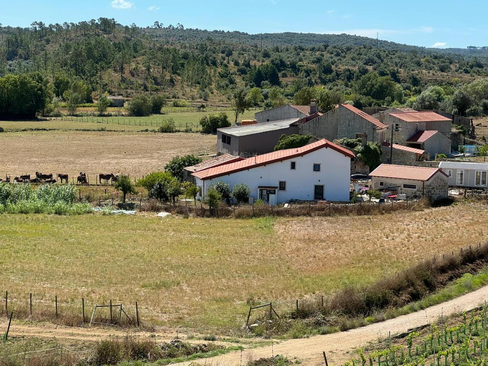 Casa Da Lima - Nestled In Nature On Santiago'S And Fatima'S Path, Close To Coimbra And Rabacal Alvorge المظهر الخارجي الصورة