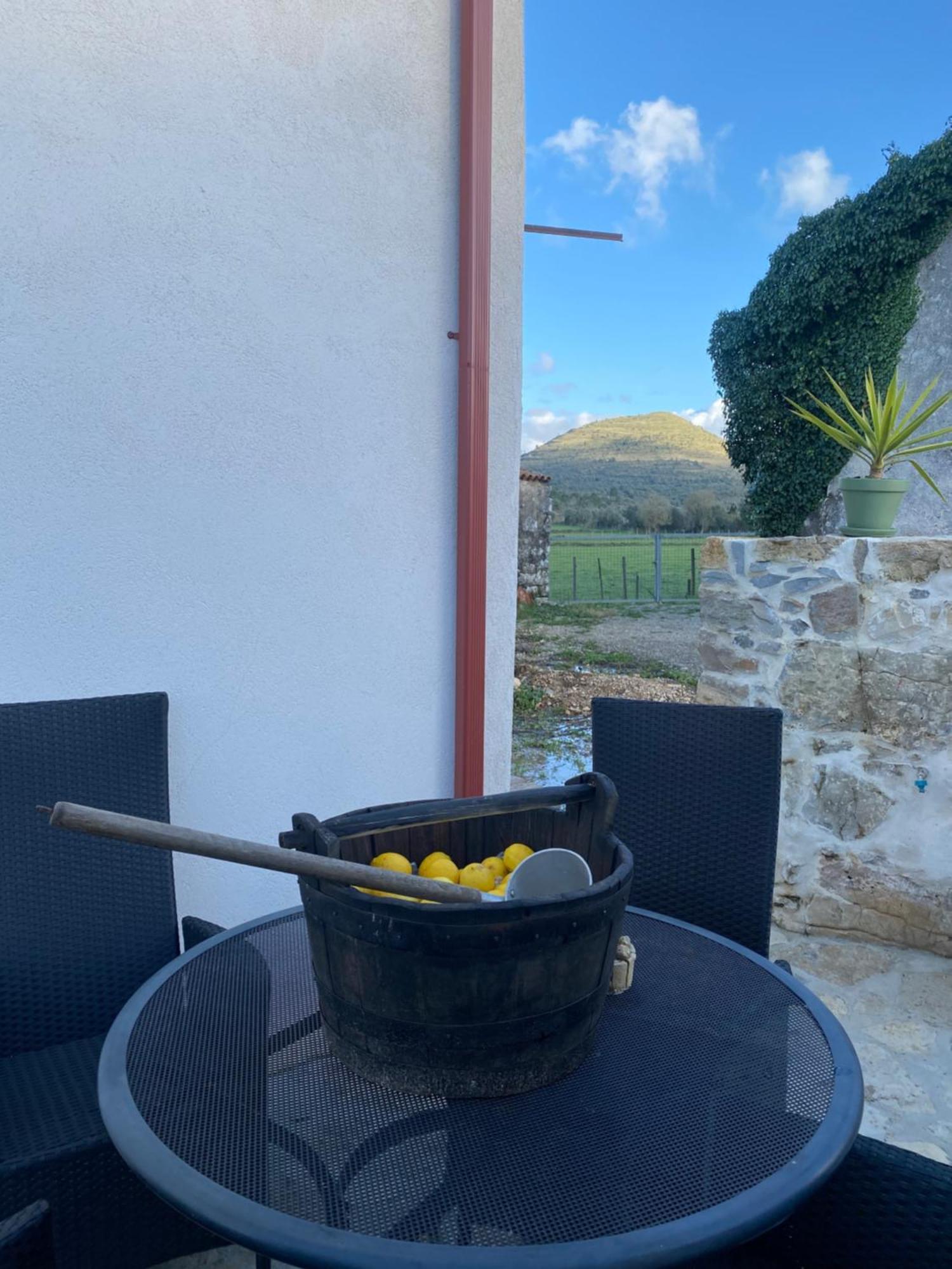 Casa Da Lima - Nestled In Nature On Santiago'S And Fatima'S Path, Close To Coimbra And Rabacal Alvorge المظهر الخارجي الصورة
