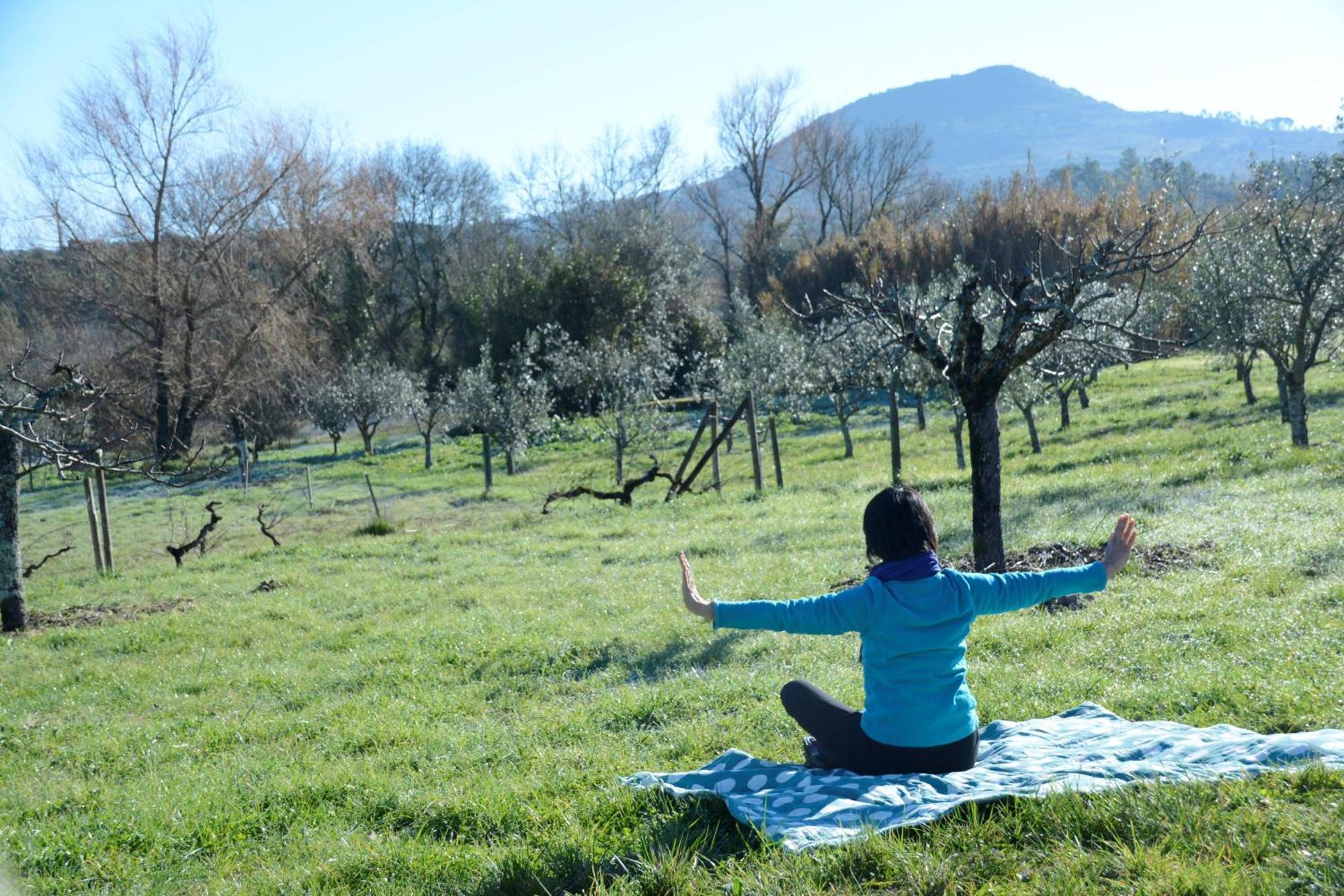 Casa Da Lima - Nestled In Nature On Santiago'S And Fatima'S Path, Close To Coimbra And Rabacal Alvorge المظهر الخارجي الصورة